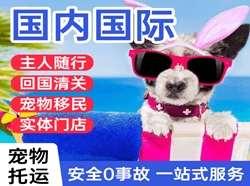 北海福成机场托运国际宠物托运 【国